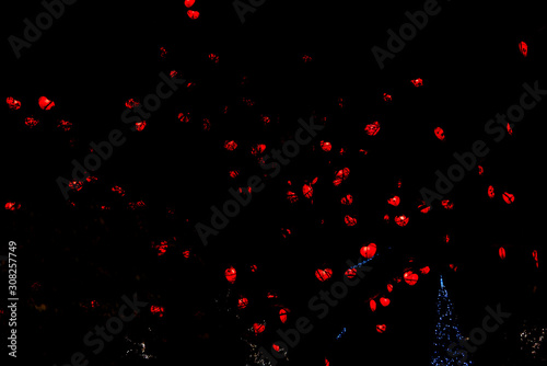 Obraz na płótnie Heart Tree at Vienna's. Night. w salonie