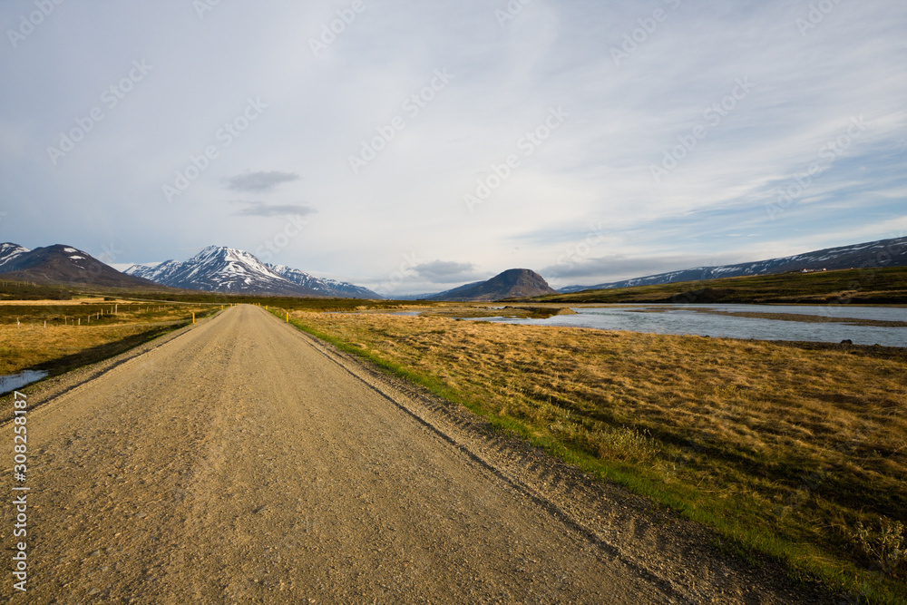 East Iceland Road And Landscape