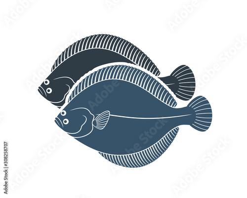 Flounder logo. Isolated flounder on white background