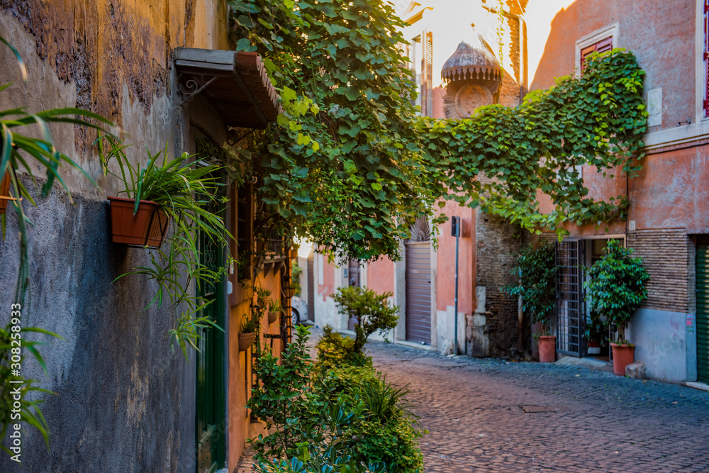 Fototapeta Piękny i malowniczy widok na ulicę w Rzymie, dzielnica Trastevere.