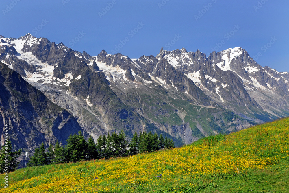 Fototapeta premium Italy , Aosta , Courmayer is a fantastic place for his mountains - mont Blanc and Monte Rose with snow diuring the summer