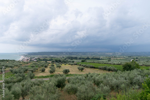 Panorama of olive groves and meadows with the sea in the background