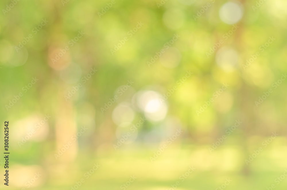 abstract bio green blur nature background trees lush foliage in the park at  morning with sunlight. Stock Photo | Adobe Stock