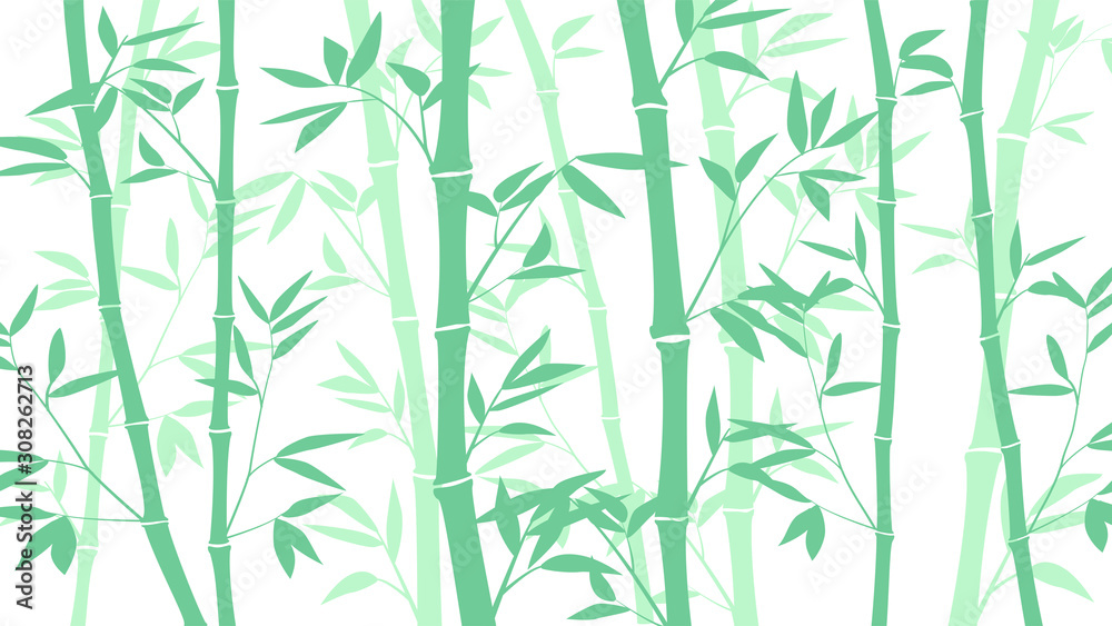 Bamboo forest for background EPS 10 Bamboo forest for background EPS 10