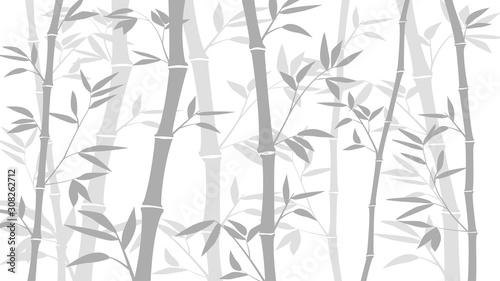 Bamboo forest for background EPS 10