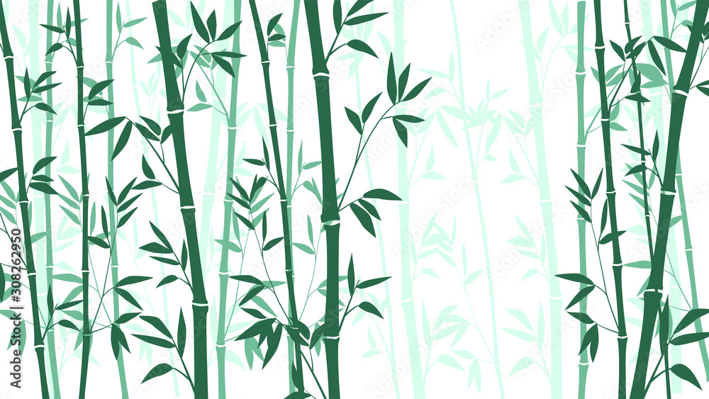Bamboo forest for background EPS 10