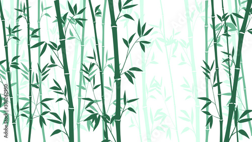 Bamboo forest for background EPS 10