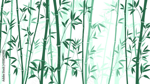 Bamboo forest for background EPS 10