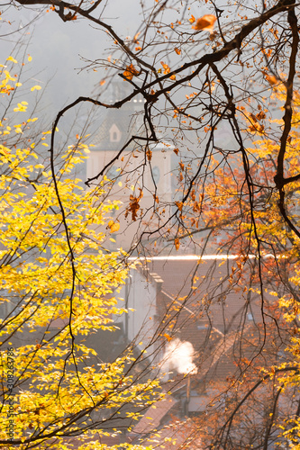 Branches and colorful leaves in the morning. City Hall tower in Brasov blurred