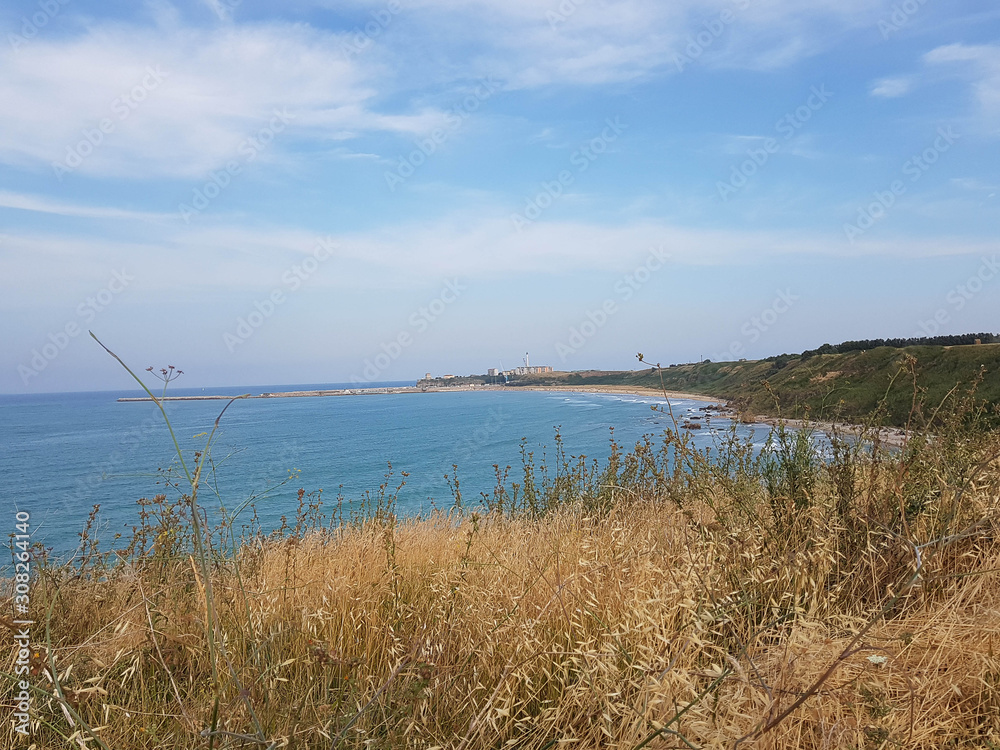 Promontory with yellow grass and blue sea