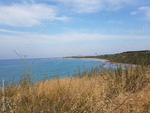 Promontory with yellow grass and blue sea
