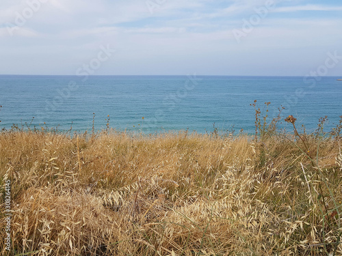 Fototapeta Naklejka Na Ścianę i Meble -  Promontory with yellow grass and blue sea