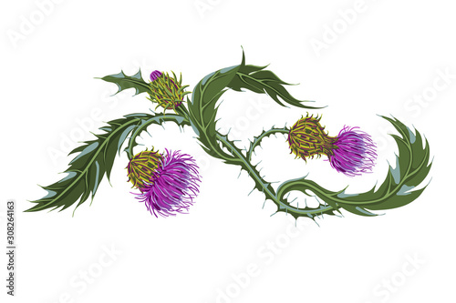 Wallpaper Mural Hand drawn composition of a thistle flower