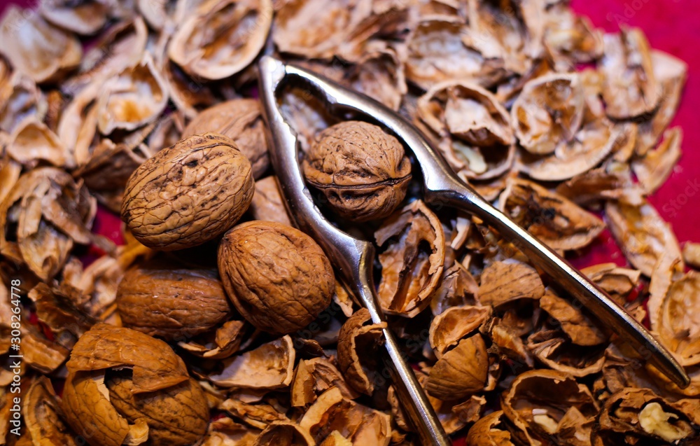 Close up pile with cracked walnut shells and isolated retro lever nutcracker with red background. Close up pile with cracked walnut shells and isolated retro lever nutcracker with red background.