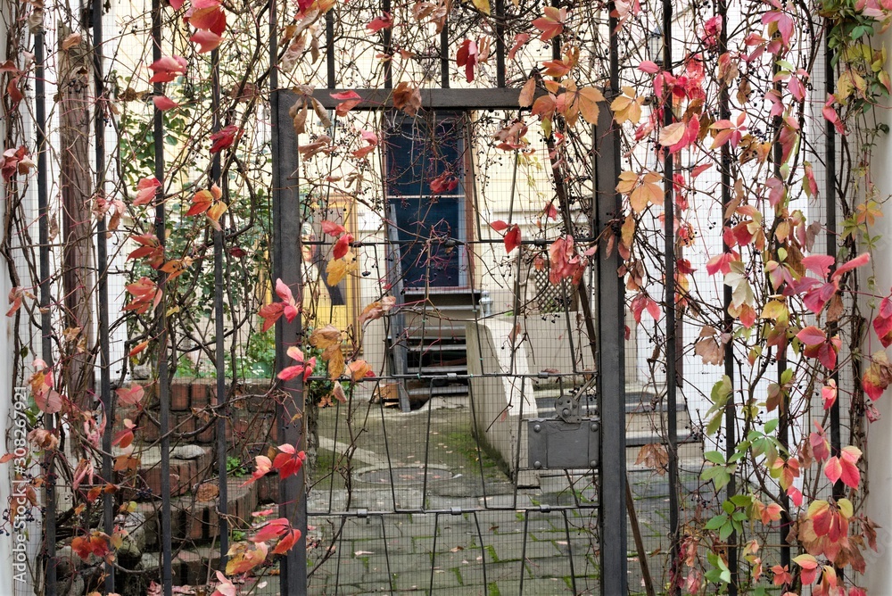 Riga, Latvia, November 2019. Latvian courtyard hidden behind an iron bars with ornamental plants.