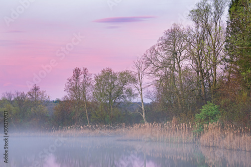 Foggy landscape at dawn of the spring shoreline of Whitford Lake, Fort Custer State Park, Michigan photo