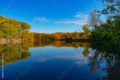 Fototapeta Naklejka Na Ścianę i Meble -  reflection of trees in water of a lake near Vienna