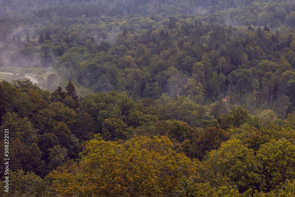 Aerial view on the river Gauja and National park Gauja with pine forest  from the main big tower of medieval Turaida Castle in cloudy, foggy and rainy day, Sigulda, Latvia. Soft focus