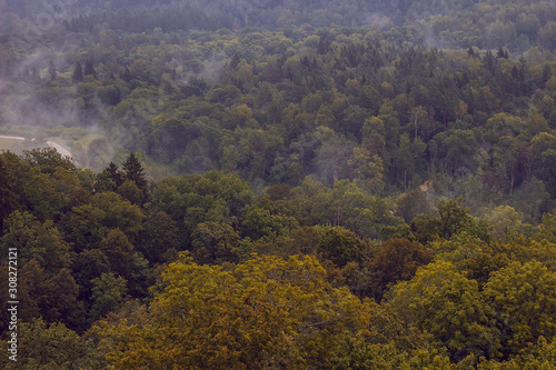 Aerial view on the river Gauja and National park Gauja with pine forest from the main big tower of medieval Turaida Castle in cloudy, foggy and rainy day, Sigulda, Latvia. Soft focus