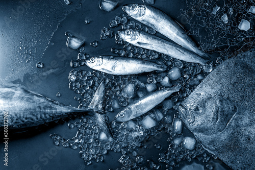 Raw fresh tuna, herring and flounder fish on crushed ice over dark wet metal background. Top view with space. Color of the year 2020 classic blue toned photo