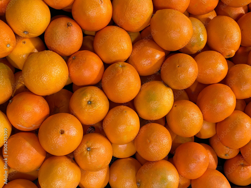 oranges, a graphic fruit pattern