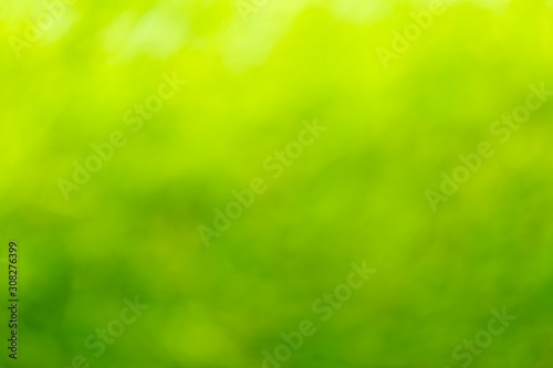 Defocussed green bokeh grass or foliage background - summer, spring or ecology concept © Shawn Hempel