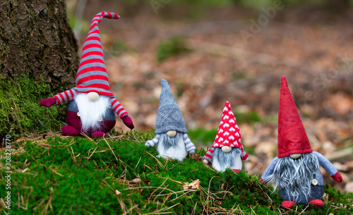 wichtel familie im wald