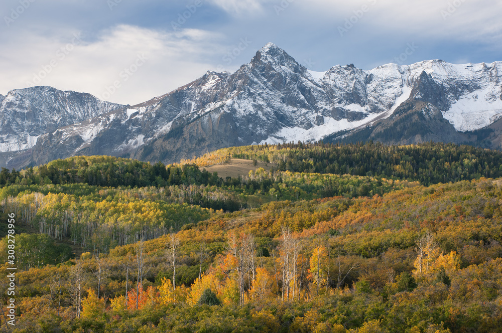 Autumn landscape with aspens, Dallas Divide, San Juan Mountains, Colorado