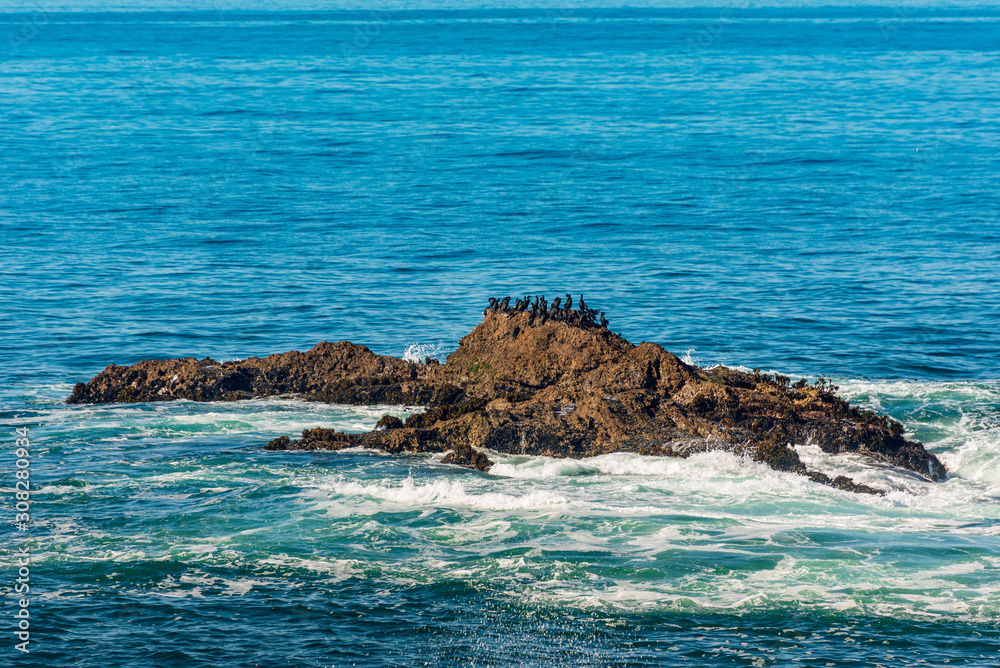 cormorant birds sitting on rocks in the sea
