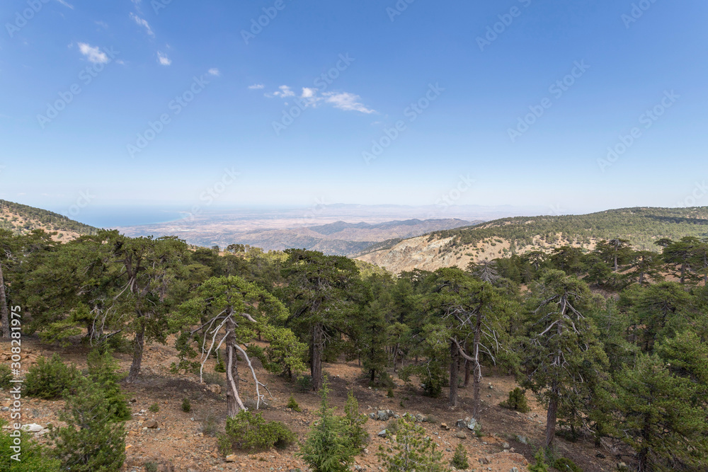 view from the observation deck of Mount Olymbos, Cyprus