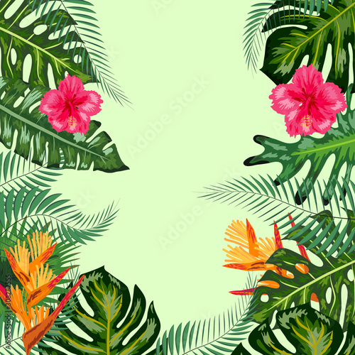 Tropical frame, flowers, monstera leaves, background, place for an inscription