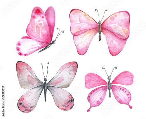  Watercolor butterflies in pink colors. photo