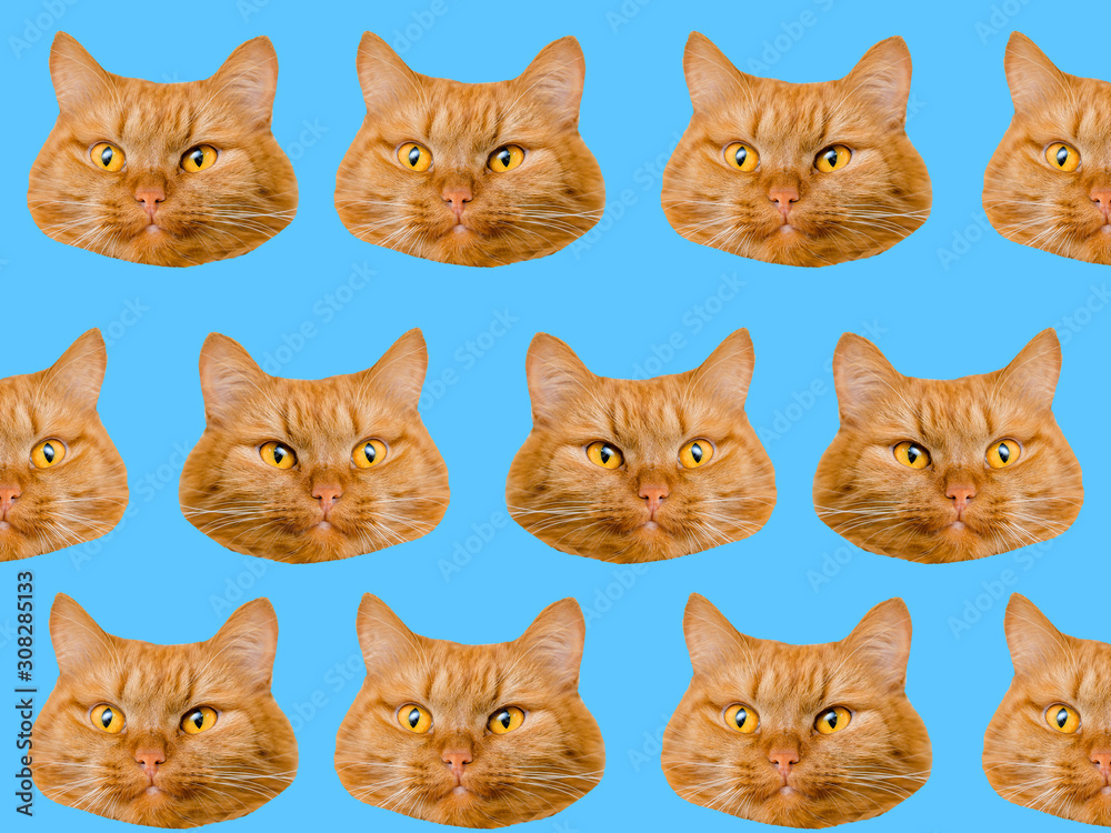 Funny red cat heads on blue background. Fashion art collage template.