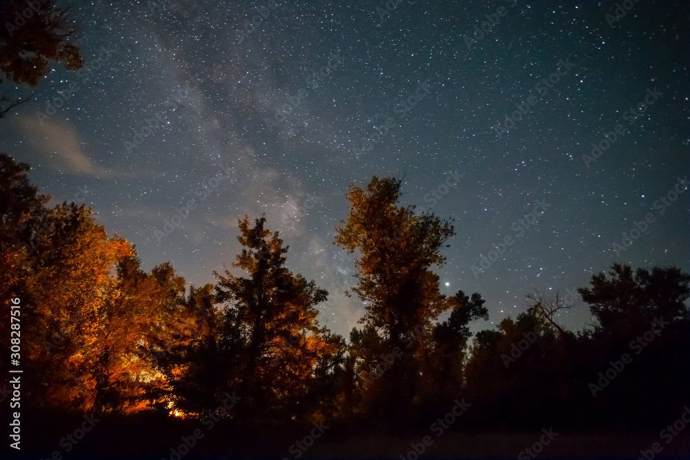night camping scene, touristic camp fire in a night forest under starry sky with milky way