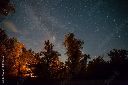 night camping scene  touristic camp fire in a night forest under starry sky with milky way