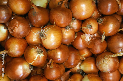 fresh onions on the market