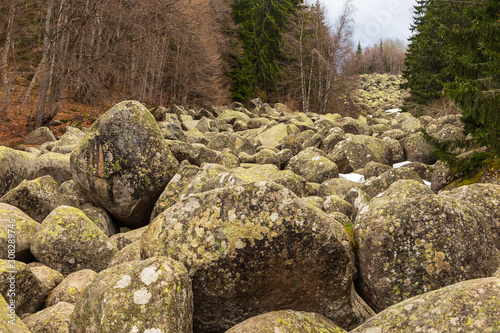 Stone river, scree, in Vitosha massif, Sofia, Bulgaria. photo