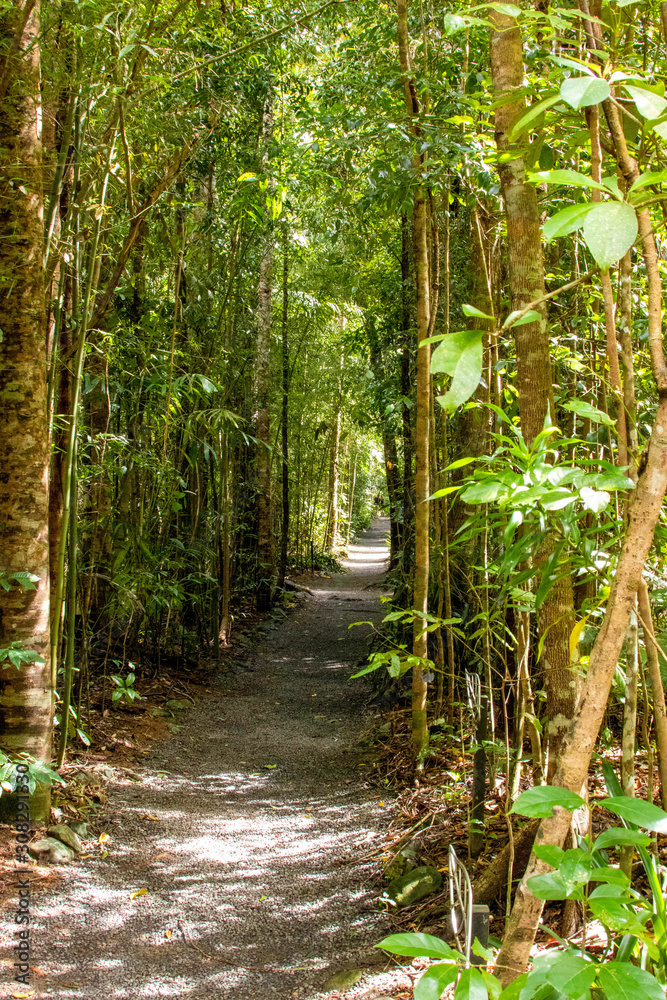 Obraz premium plantes