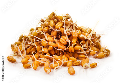 Heap of sprouted wheat Isolated on white background