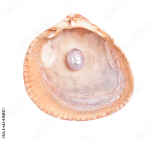 Sea shell with pearl isolated on white background. Top view.