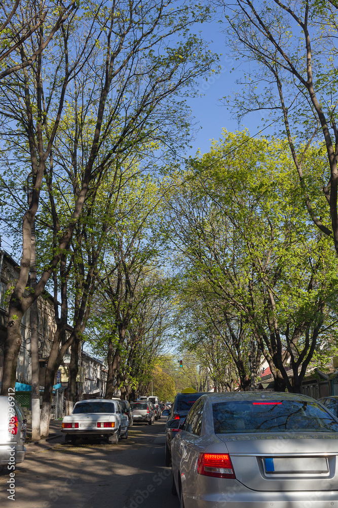 Beautiful spring day in the city. Beautiful spring day in the city.