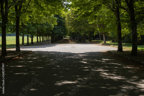 driveway under the shadow of trees © Gnac49