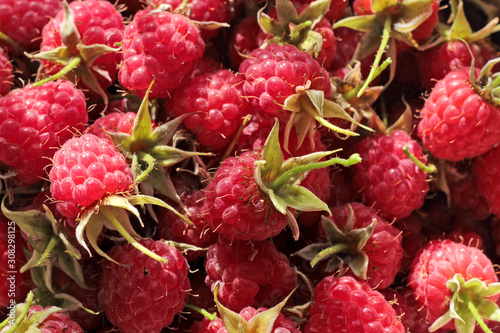 Background. Ripe, juicy, sweet, red, raspberry. Close up. Summer