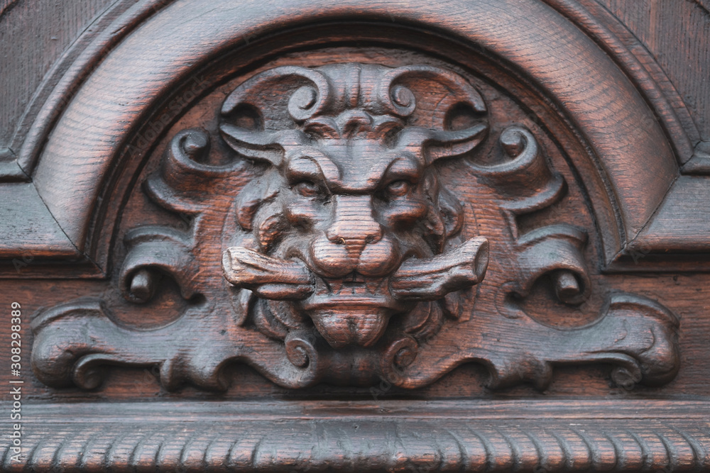 Wooden lion's head door