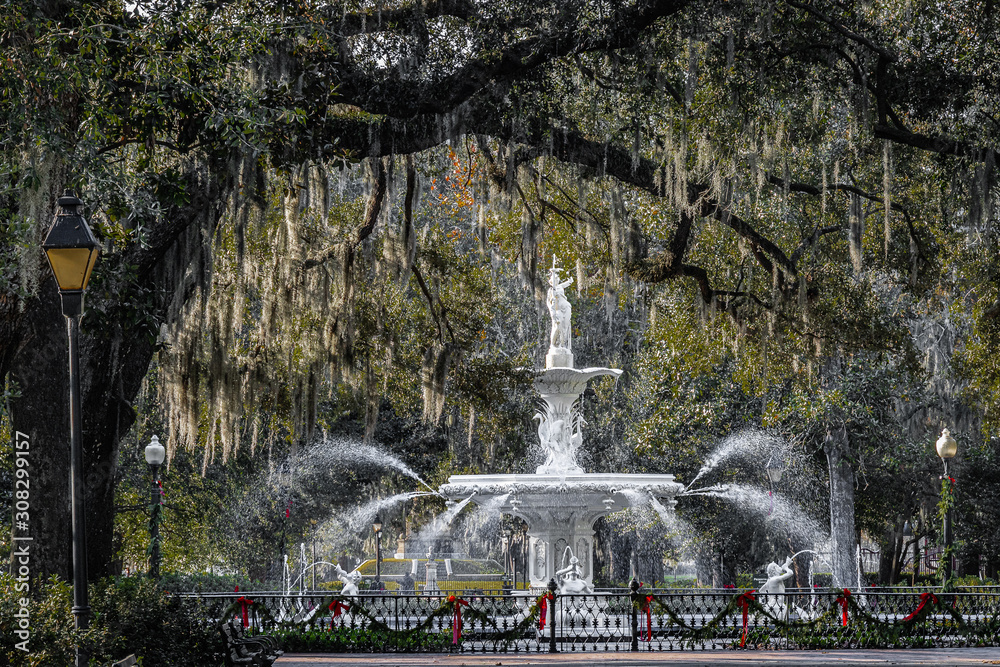 Fototapeta premium Forsyth Fountain