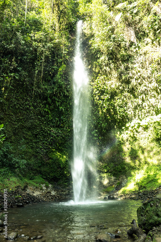 beatiful waterfall in deep forest ecuador