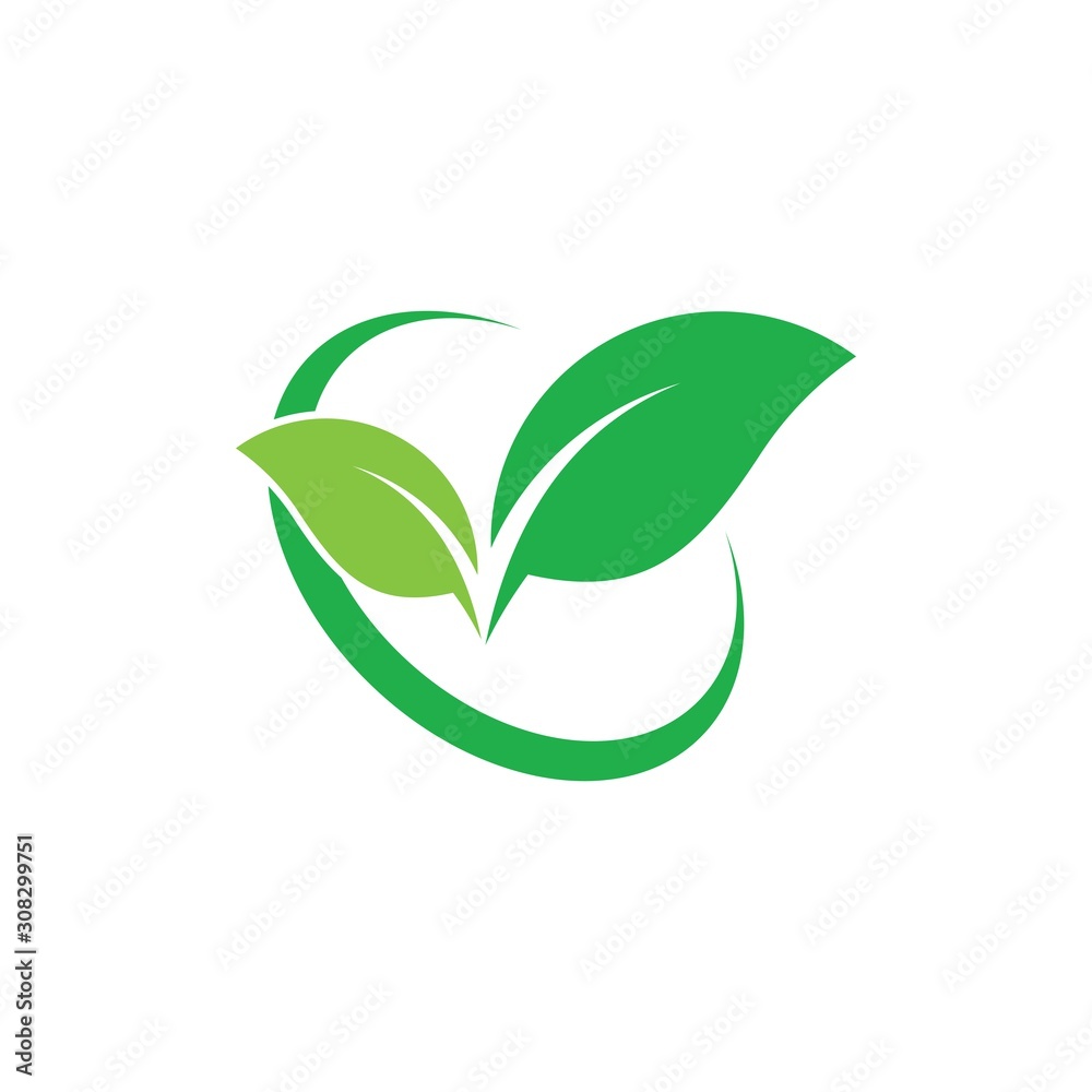 Leaves icon vector isolated on white background. Leaves icon vector isolated on white background.