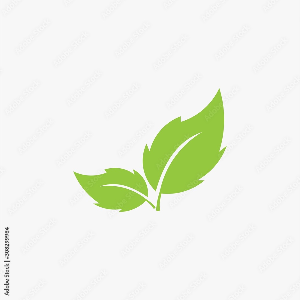 Leaves icon vector isolated on white background. Leaves icon vector isolated on white background.
