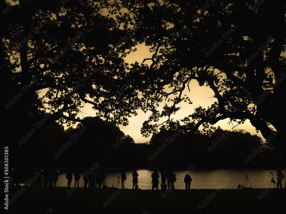 Blurred silhouettes of people by the lake at night surrounded by tall trees