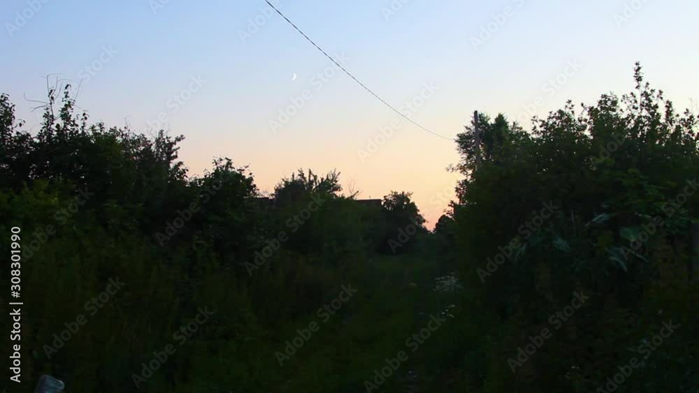 Backgrounds nature countryside, sunlight day Backgrounds nature countryside, sunlight day